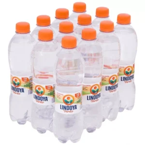 Água Mineral Lindoya Verão Com Gas Garrafa 510ml Fardo C/12u